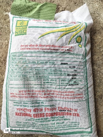 તુવેર નું બિયારણ