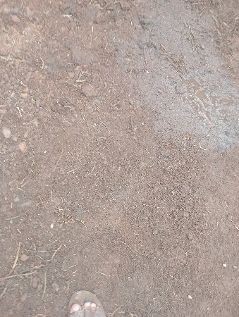 મકાન વેચવાના છે