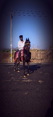 ghodi nu ratu karvanu se