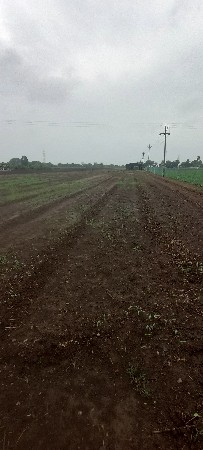 મેંદરડા  સાસણ રોડ ટચ