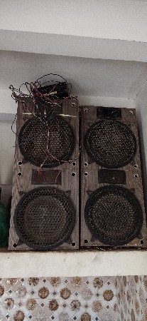 શાવુંન
