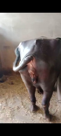 ફરી ગઈ