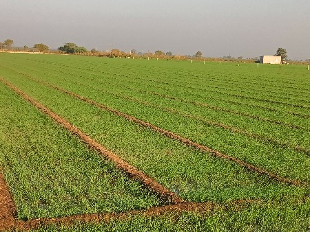 વેચવાની છે