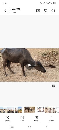 khadai