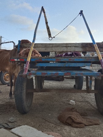 ગાડી વેચવાની છે
