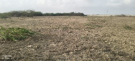 mo 7096160724