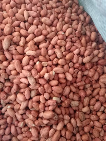 biyaran