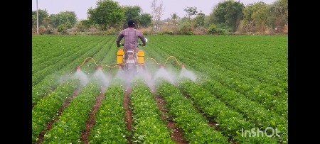 દવા છાંટવા ની ફેમ વેચવા ની છે