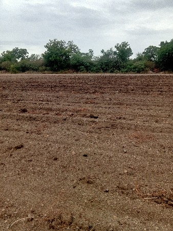 ખેતીની જમીન વેચવાની છે