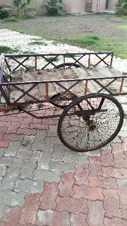 થ્રિ વિલર સાઇકલ વેસવાની ખેતી
