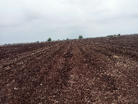 મીઠા પાણીની વાડી વેચવાની છે