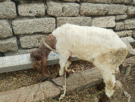 ડેટા વેચવાના છે