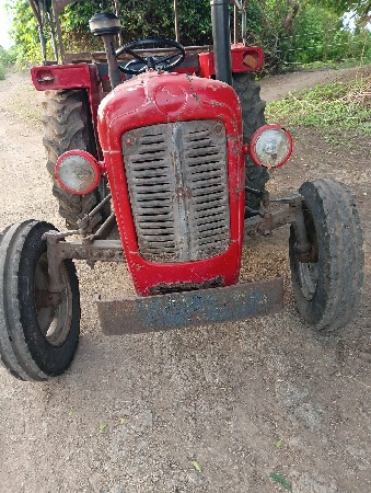 massey standard