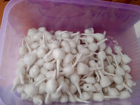 રૂની વાટ બનાવવાનું મશીન વેચવાનું છે