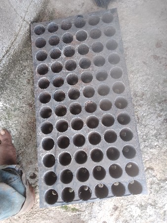 નર્સરી ટ્રે 72 ખાના વાળી