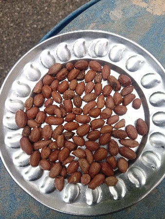 જી ૨૦ નું બિયારણ
