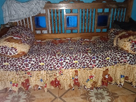 સાગનો જુલો ઓરીજનલ