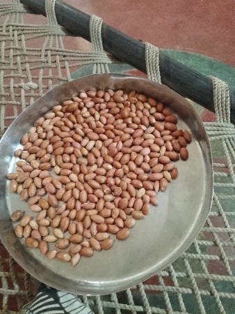 બિયારણ વેચવાનૂ છે