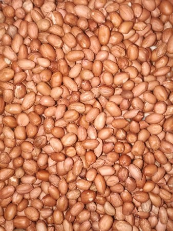 37 માંડવી 5 માણ