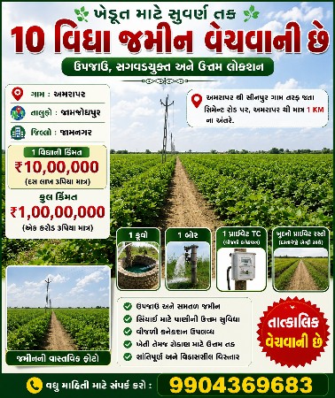 10 વિઘા ઉપજાઉ ખેતીની જમીન