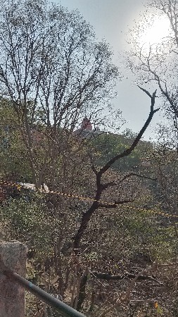 જમીન વેચવા ની છે