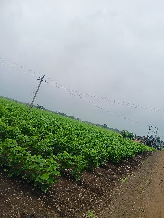 આ જમીન વેચવાની છે ફુલ નેસર પાણી