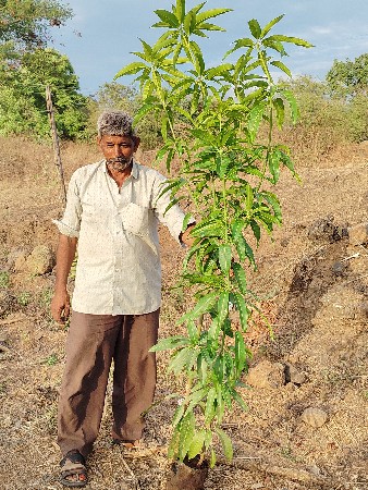 Chamunda nursery