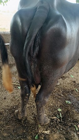 મો.9913567991