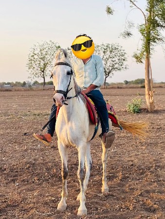 વેચવાની છે
