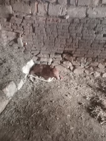 ના વેચવાની છે