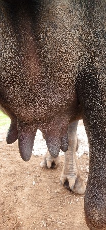 મો 7990209355