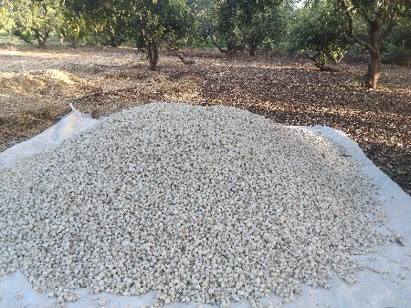સમીર ભાઈ રામ