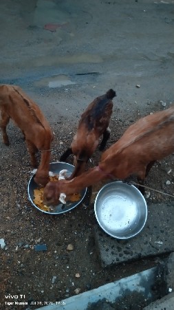 9824975309 whatsapp માં મેસેજ કરે