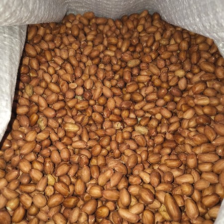 20 nabar mandvi