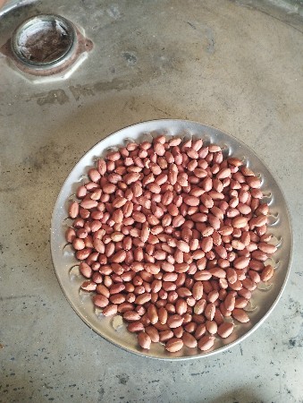 અશમીતા  દાણા