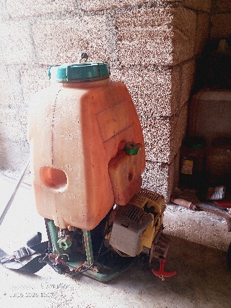 દવાસાટવોનો પોપ