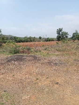 ખેતી ની જમીન વેચવાની છે