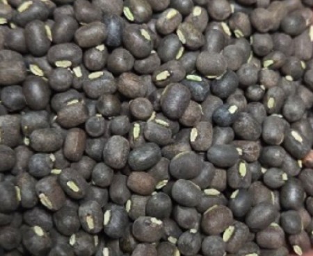 અડદનું બિયારણ 20 man વેચવાના છે.
a