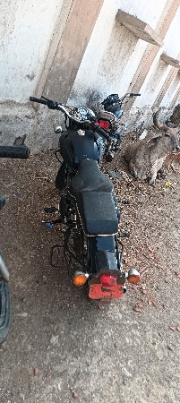 સાટા માં જર્સી ગાય લેવા ની સે