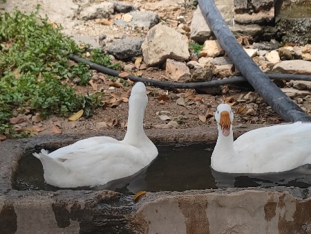 20 નંબર