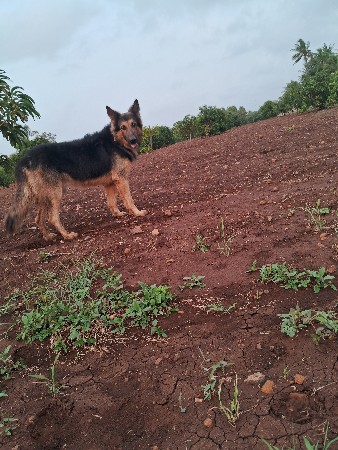 ખાલી મીટીંગ માટે