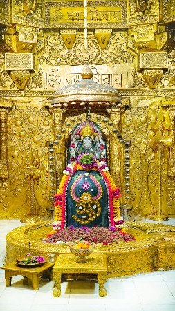 માણસ ની જરૂર છે