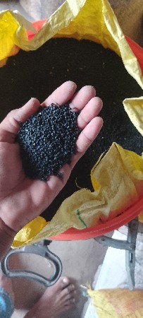 લાલ ઘાવરીયુ પંચગંગા બાદશાહ
