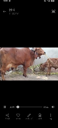 વેચવાની