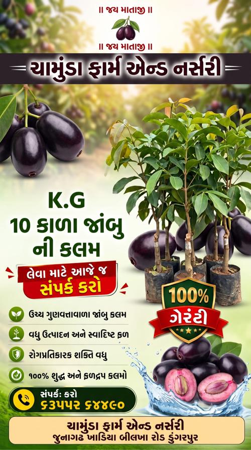 ચામુંડા ફાર્મ એન્ડ નર્સરી
