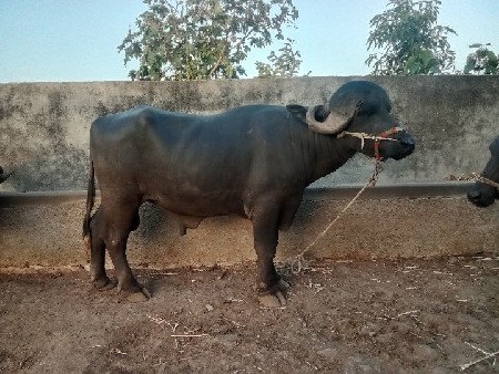 9913567199
