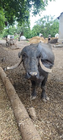 મહિનાથી છે