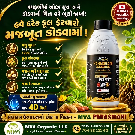 પારસમણી