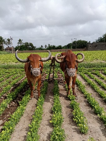 આ નબર ફો ન કરો
83478 36036