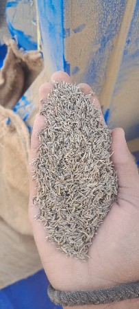 ફૂલ જવાબદારી